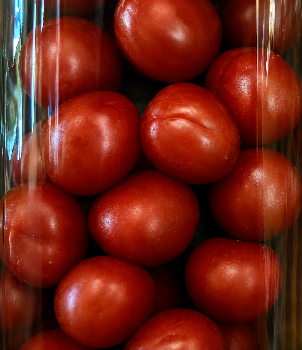 Portfolio 13